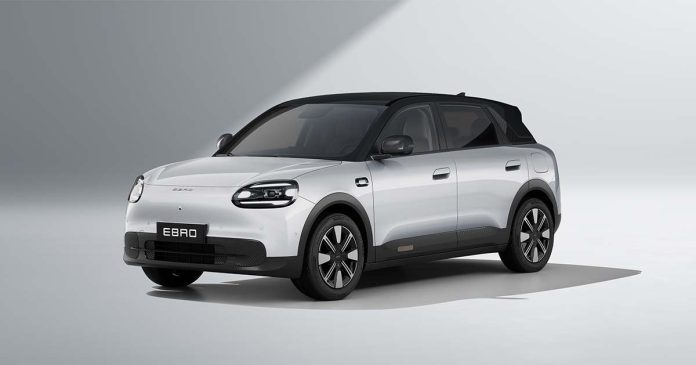 carro elétrico acessível