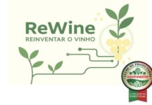 Clube de Produtores Continente debate o setor vitivinícola na Ovibeja setor vitivinícola