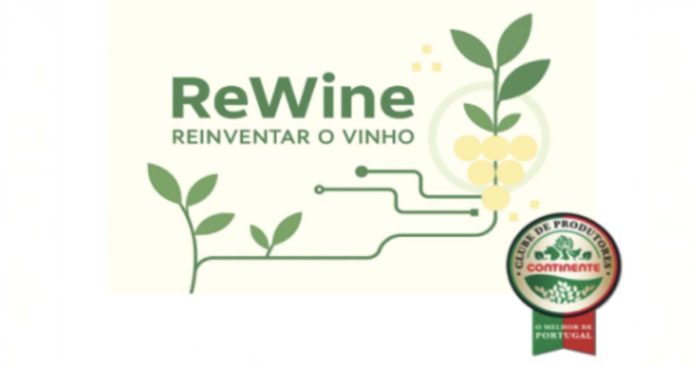 setor vitivinícola