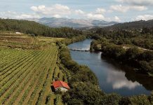 Campanha de turismo interno convida portugueses a redescobrir o país Campanha de turismo interno