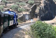 Comboio Histórico Douro regressa com 51 viagens entre a Régua e o Tua Comboio Histórico Douro