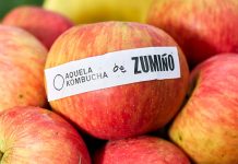 Kombucha Maçã: Edição especial nasce nos pomares galegos e fermenta em Portugal Kombucha Maçã