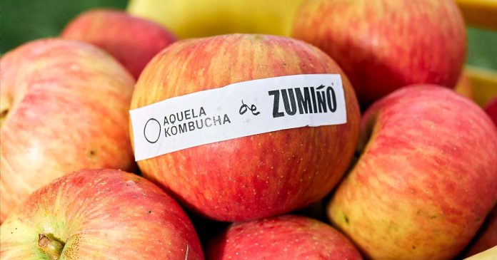 Kombucha Maçã Kombucha Maçã