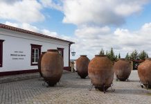 Regenerative Wine Fest 2026 mostra como a agricultura regenerativa pode proteger o vinho português Regenerative Wine Fest