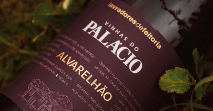 Vinhas do Palácio Alvarelhão