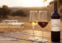 Vinhos do Alentejo lançam plataforma Data+ e revelam impacto de 1,45 mil milhões na economia Vinhos do Alentejo