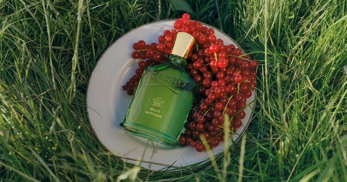 Wild Vetiver Creed