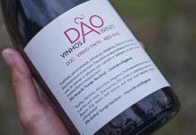 Dão Summer Edition arranca em Viseu com mais de 200 vinhos e atividades para toda a família Dão Summer Edition