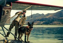“Heart of the Beast – Heróis Inseparáveis”: divulgados o primeiro trailer e as primeiras imagens oficiais do novo filme de Brad Pitt Heart of the Beast