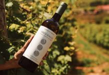 Três Bagos Sauvignon Blanc 2025: a nova colheita de um clássico da Lavradores de Feitoria Três Bagos Sauvignon Blanc