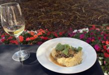 Congresso de Cozinha 2026: O maior encontro profissional de gastronomia regressa a Oeiras Congresso de Cozinha 2026 com prato de gastronomia portuguesa acompanhado por um copo de vinho
