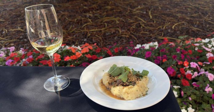 Congresso de Cozinha 2026 – Prato de gastronomia e vinho Congresso de Cozinha 2026 com prato de gastronomia portuguesa acompanhado por um copo de vinho