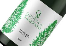 Vinho branco do Tejo traduz nova visão da Quinta do Sampayo Garrafa do vinho branco do Tejo Branco 2025 DOC da Quinta do Sampayo, produzido com as castas Fernão Pires e Arinto