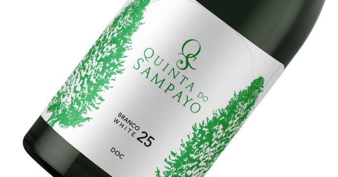 Vinho branco do Tejo Branco 2025 DOC da Quinta do Sampayo Garrafa do vinho branco do Tejo Branco 2025 DOC da Quinta do Sampayo, produzido com as castas Fernão Pires e Arinto