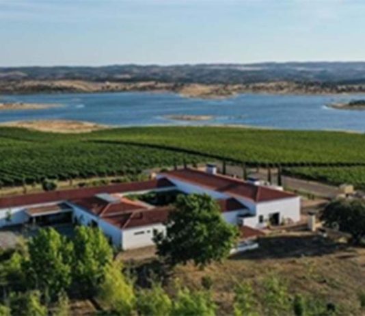 Visitar o Alentejo, ganha nova proposta com parceria entre Esporão e Montimerso Vista aérea de vinhas e do Lago Alqueva, ilustrando a paisagem ideal para quem procura visitar o Alentejo.