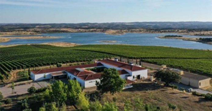 Paisagem rural com vinhas e Lago Alqueva ao fundo Vista aérea de vinhas e do Lago Alqueva, ilustrando a paisagem ideal para quem procura visitar o Alentejo.