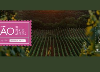Dão de Portas Abertas regressa em plena vindima com vinhos, gastronomia e provas de mostos Vinhas do Dão associadas ao evento Dão de Portas Abertas