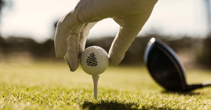 Portugal Legends Championship: golfe na Comporta Portugal Legends Championship: bola de golfe colocada num tee, com um jogador a preparar a tacada
