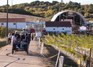 Vindimas no Cartaxo: Quinta do Sampayo junta tradição, vinho e a banda britânica UB40 Vindimas no Cartaxo na Quinta do Sampayo, com vinhas e espaço da Festa das Vindimas
