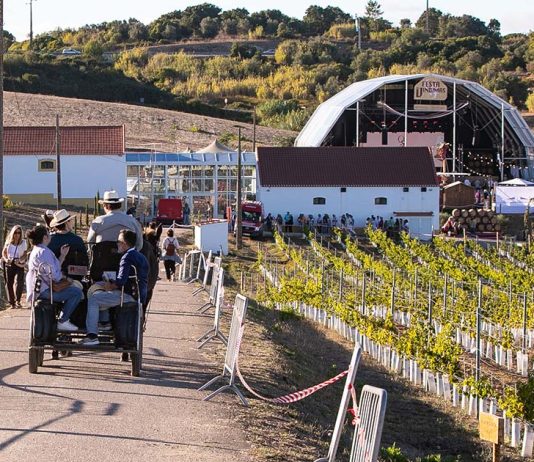Vindimas no Cartaxo: Quinta do Sampayo junta tradição, vinho e a banda britânica UB40 Vindimas no Cartaxo na Quinta do Sampayo, com vinhas e espaço da Festa das Vindimas