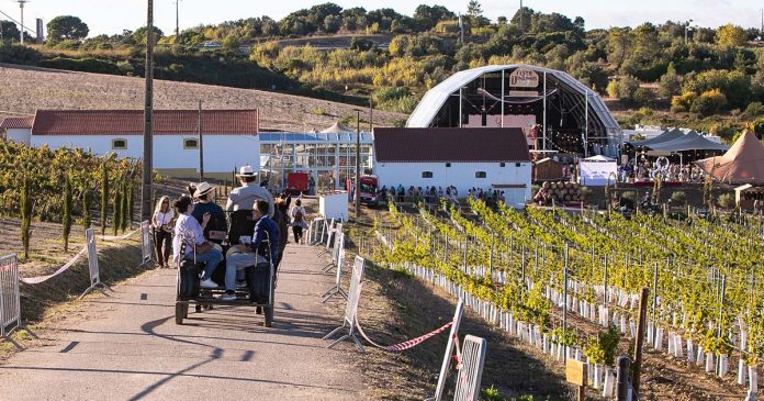 Festa das Vindimas da Quinta do Sampayo no Cartaxo Vindimas no Cartaxo na Quinta do Sampayo, com vinhas e espaço da Festa das Vindimas
