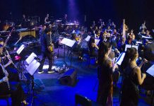 Vale do Silêncio junta pop, Luís Represas e grandes obras clássicas Orquestra POP Portuguesa vai atuar no Vale do Silêncio