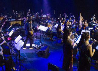 Vale do Silêncio junta pop, Luís Represas e grandes obras clássicas Orquestra POP Portuguesa vai atuar no Vale do Silêncio