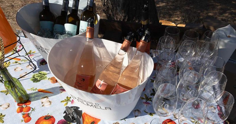 Garrafas de vinho numa mesa na Vindima na Adega de Palmela